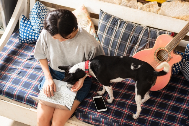 犬とWEB検索